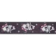 PLANETWAVES 50LT03 1