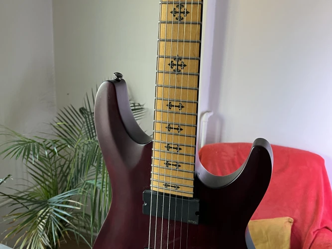 JL7 Jeff Loomis Signature 7 telli gitar 1