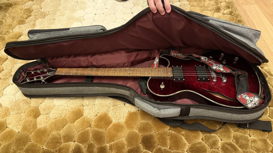 Schecter Hellraiser Solo-6 E/A 1