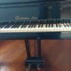 Steinway Kuyruklu Piano 5