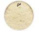 EVANS BD22CT 22" DERİ CALFTONE KİCK VE RESONANT SENTETİK TEK KAT 6