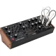 Moog Labyrinth Parallel Generative Analog Synthesizer 2