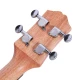 Kaysen U1-24N Concert Ukulele 9