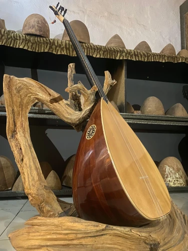 Uzun Sap Bağlama Saz 1