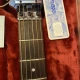 IBANEZ Joe Satriani JS2450 MCP Elektro Gitar 6