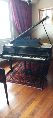 Steinway Kuyruklu Piano 1