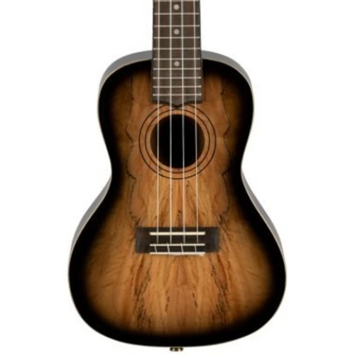Laniikai Limited Edition SMBB-CX Spalted Maple Concert Ukulele 2