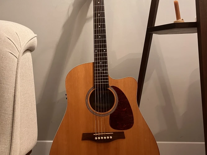 Seagull Entourage CW QI Elektro Akustik Gitar (Natural Spruce) 1