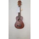 CREMONIA AU50L-21 UKULELE 21\"  SOPRANO UNIVERSE SERIES 2