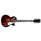 LP-68 RDS Les Paul Elektro Gitar (Taşıma Çantası Hediyeli) 2