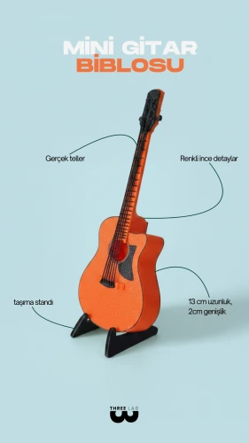 Mini Gitar Biblosu 1
