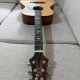 PRS SE TONARE TX20E 6