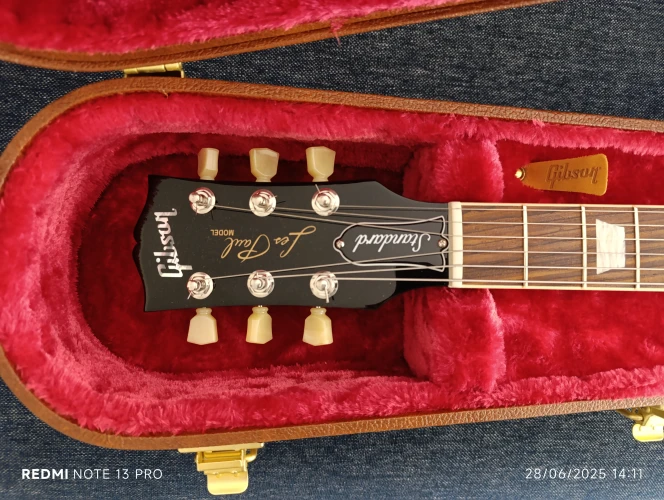 Gibson les paul standard 6