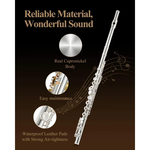 Eastar EFL-2 Yan Flüt (Gümüş Kaplama) 4