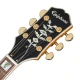 Epiphone Sheraton Frequensator Semi-Hollowbody Elektro Gitar (Natural) 6