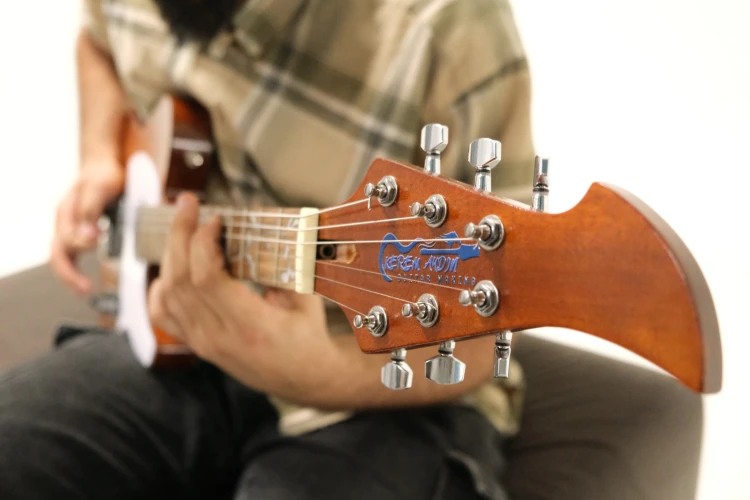 ÖZEL YAPIM (CUSTOM BUILD) T-Style Gitar 3