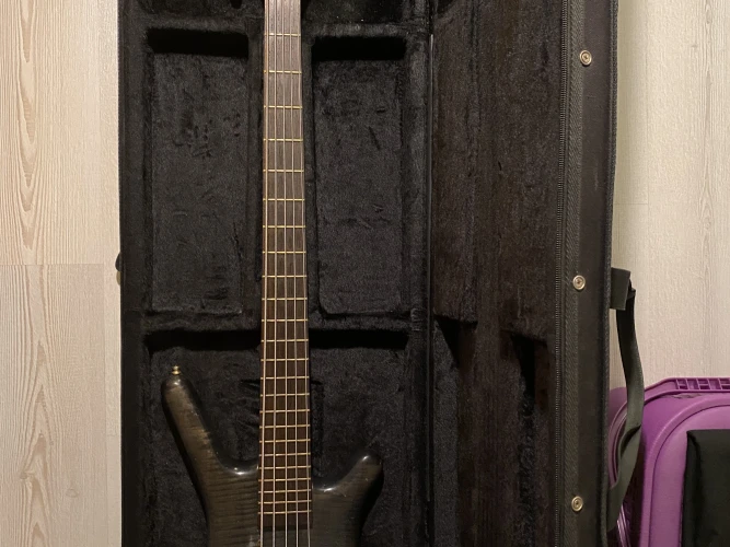 Corvette proline 5 4