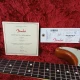 Fender Stratocaster American Performer 7