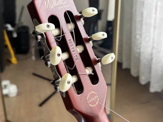 acil satılık FİYAT DÜŞMÜŞTÜR !!! - godin encore 6