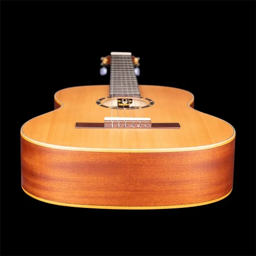 Ortega R131SN Family Series Pro Klasik Gitar (Natural) 9
