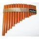 MAXTONE PF15-B 1