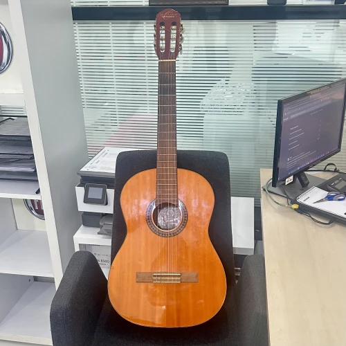 Oscar Schmidt Klasik & Acoustic Gitar 1