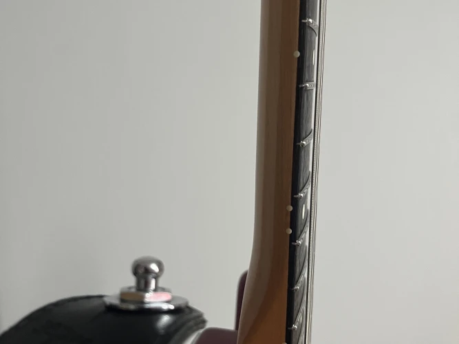 fender standart stratocaster mexico 5