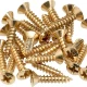 Fender Pickguard/Control Plate Mounting Screws 24 Gold Gitar Yedek Parça 1