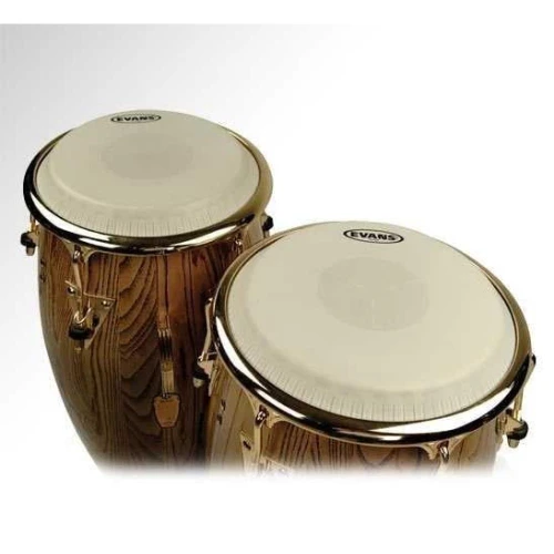 Evans Ec0975 9 3/4 Konga Derisi 2