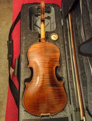 Stentor Arcadia 4/4 Profesyonel Keman 1