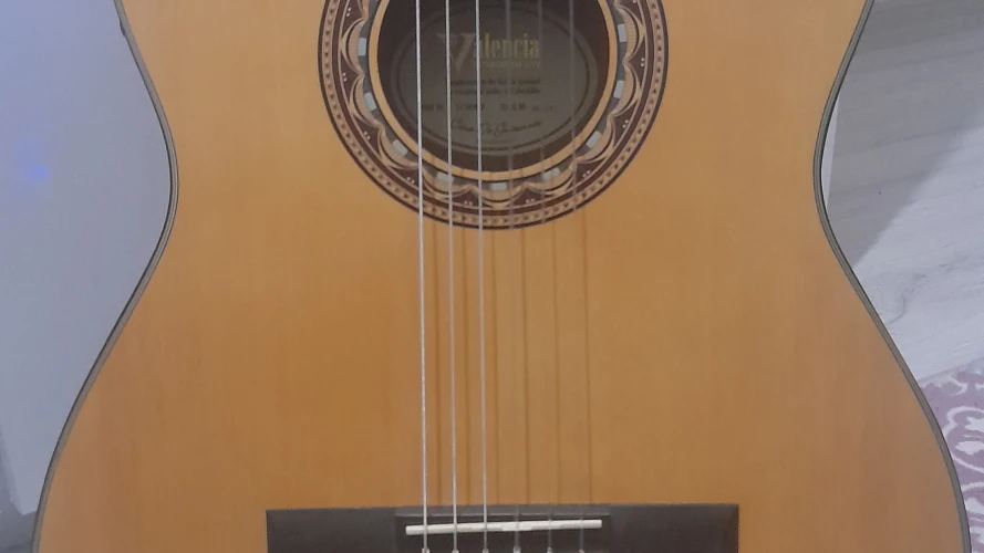 Valencia VC304CE Elektro Klasik Gitar 8