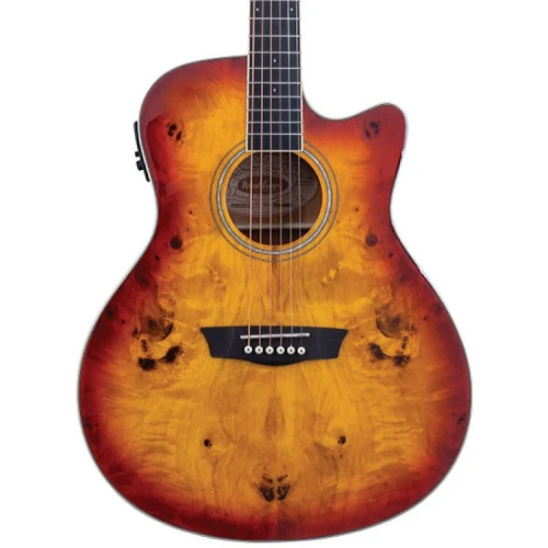 Washburn Deep Forest Burl Ace Amber Fade Elektro Akustik Gitar 1