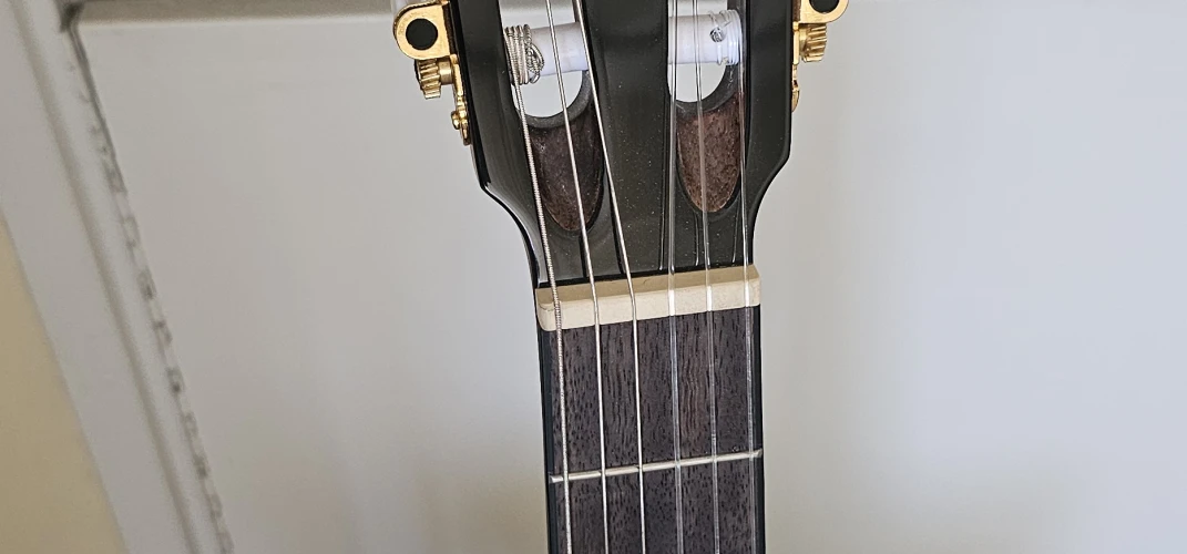 Ibanez AEG50N Bk 2