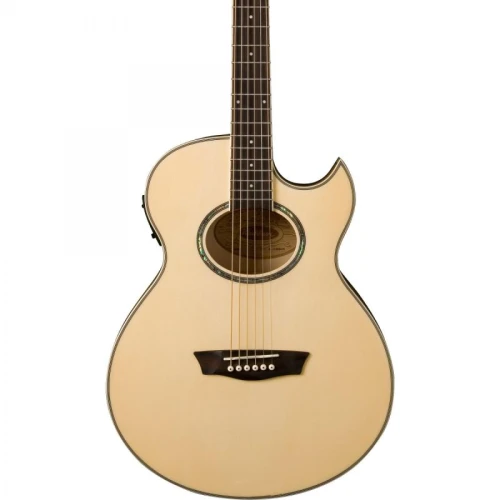 Washburn EA20 Elektro Akustik Gitar 2