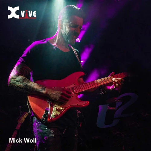 Xvive XV-U2 Kablosuz Gitar Bağlantı Sistemi - Gümüş 5