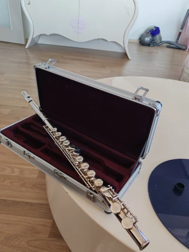 SUZUKI MUSIQUE YAN FLÜT 2