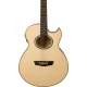 Washburn EA20 Elektro Akustik Gitar 1