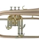 Roy Benson FH-302G Flugelhorn 1
