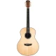 Washburn Bella Tono Elegante S24S Akustik Gitar 1