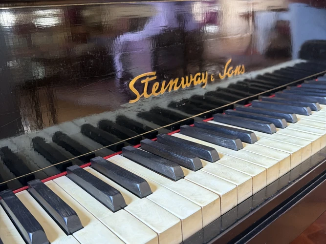 Steinway Kuyruklu Piano 9