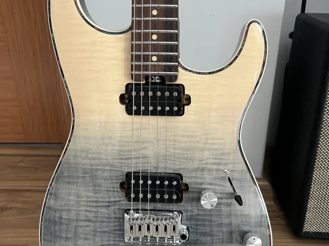 Eart EYP-ELITE Elektro Gitar 2