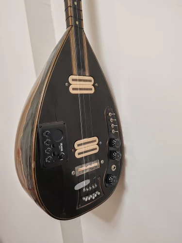 Elektro saz uzun sap 2