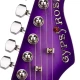 ELEKTRO GİTAR GYPSY ROSE SET (GIGBAG, STRAP, STICK 5