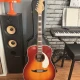 Fender California Vintage Palomino 4