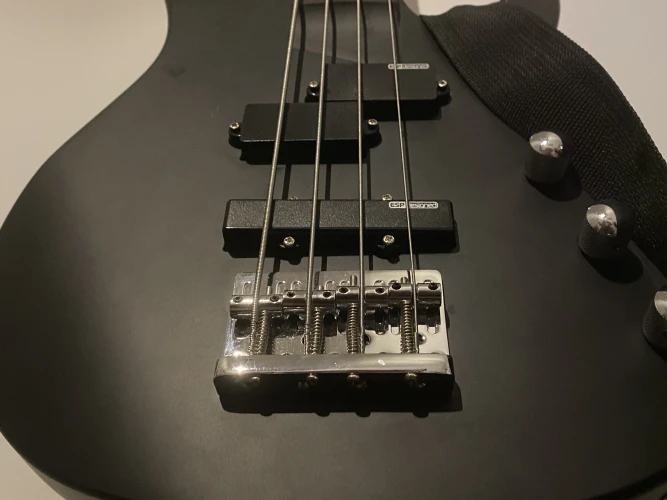ESP LTD B10 Bass Gitar 1