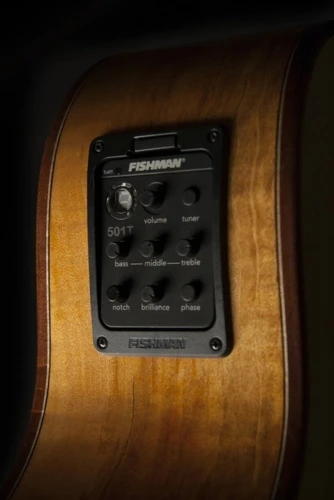 Washburn Comfort Serisi WCG66SCE  Elektro Akustik Gitar 3