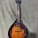 Elektro Mandolin 2