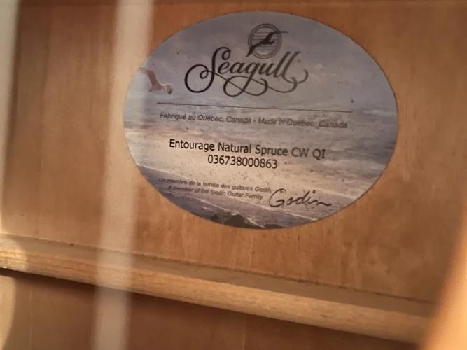 Seagull Entourage CW QI Elektro Akustik Gitar (Natural Spruce) 4