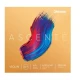 DADDARIO A310 4/4M KEMAN TEL SETİ, ASCENTE, MEDIUM 2