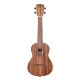 Kala Teak Concert Ukulele 1